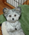 Yuki Neary Avatar